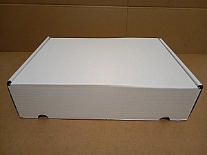 ����� ����� ���� 41/29/10 ������ ����� �� �-ebay (������� ������ 50 ������)