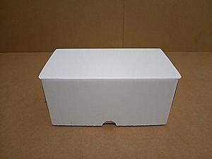 ����� ����� ���� 21.5/11.5/10 �������� �-ebay (������� ������ 50 ��)